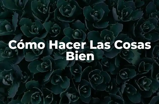 Cómo Hacer las Cosas Bien 2 Cómo Hacer Las Cosas Bien