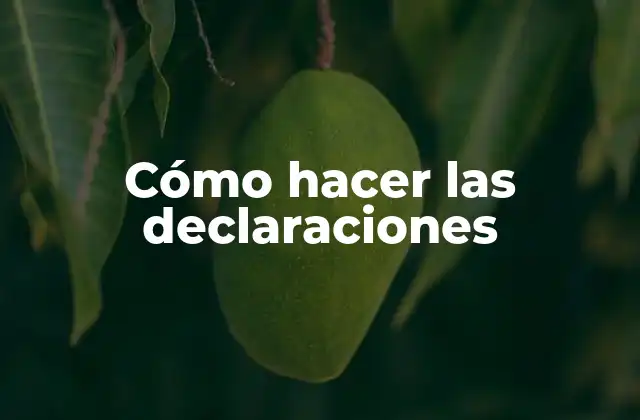 Cómo Hacer las Declaraciones 2 Cómo hacer las declaraciones