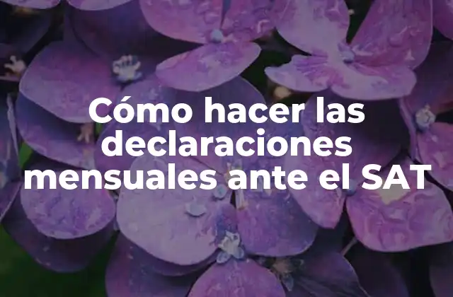 Cómo Hacer las Declaraciones Mensuales ante el Sat