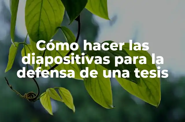 Cómo Hacer las Diapositivas para la Defensa de una Tesis