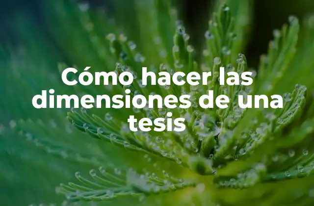 Cómo Hacer las Dimensiones de una Tesis