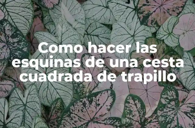 ¿Qué son las esquinas de una cesta cuadrada de trapillo?