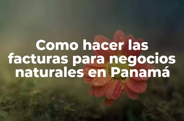 Como Hacer las Facturas para Negocios Naturales en Panamá
