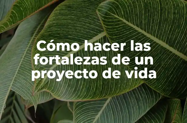 Cómo Hacer las Fortalezas de un Proyecto de Vida