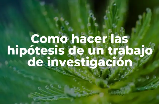 Como Hacer las Hipótesis de un Trabajo de Investigación