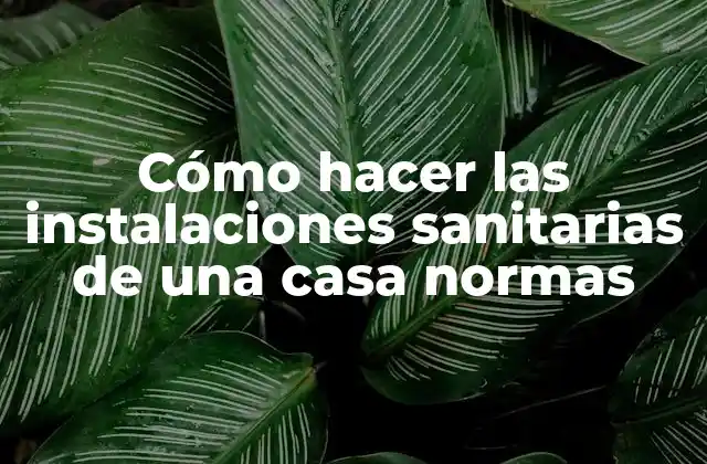 Cómo Hacer las Instalaciones Sanitarias de una Casa Normas