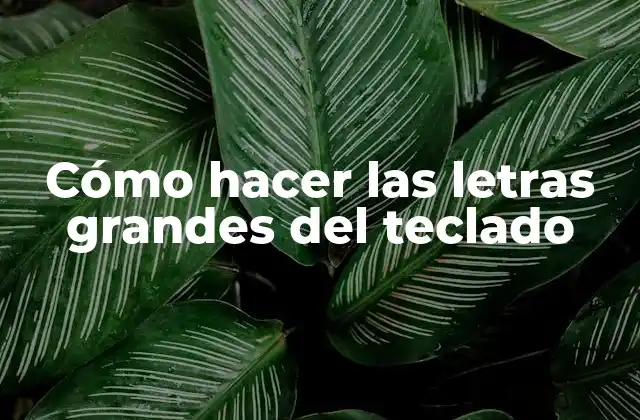 Cómo Hacer las Letras Grandes Del Teclado