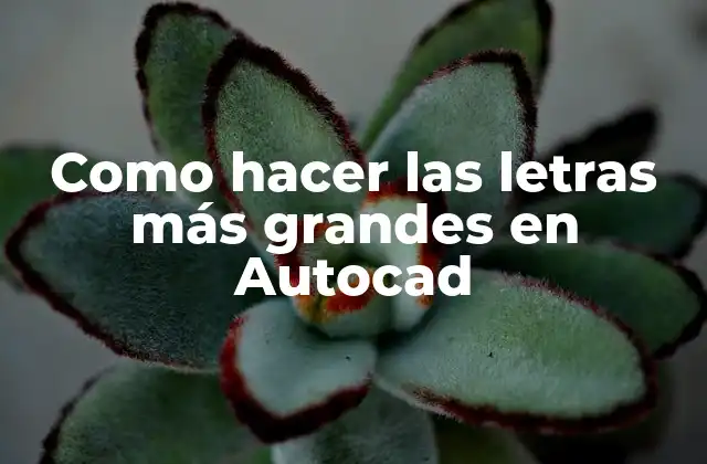 Como Hacer las Letras Más Grandes en Autocad