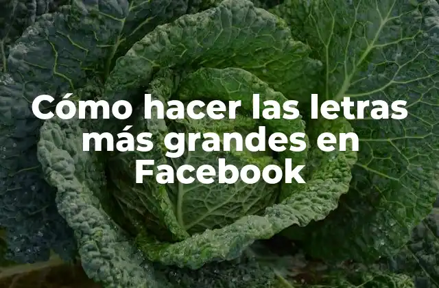 Cómo Hacer las Letras Más Grandes en Facebook