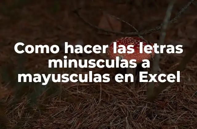 Como Hacer las Letras Minusculas a Mayusculas en Excel