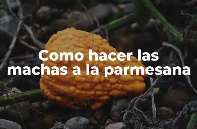 Como Hacer las Machas a la Parmesana