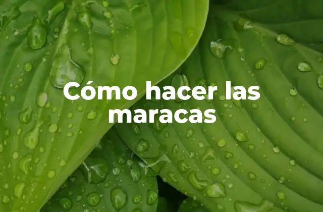 Cómo hacer las maracas