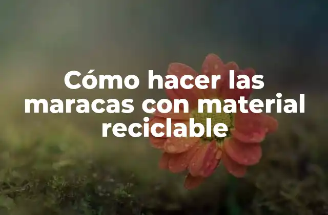 Cómo Hacer las Maracas con Material Reciclable