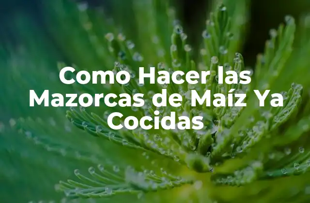Como Hacer las Mazorcas de Maíz Ya Cocidas