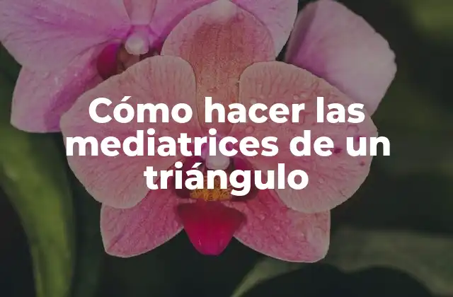 Cómo Hacer las Mediatrices de un Triángulo