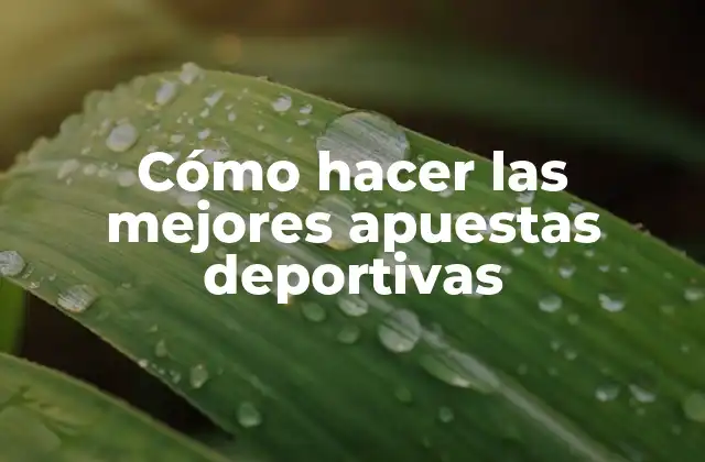 Cómo Hacer las Mejores Apuestas Deportivas