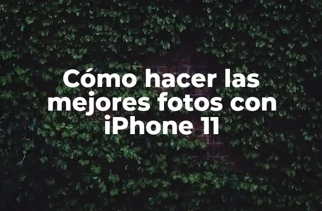 Cómo Hacer las Mejores Fotos con Iphone 11