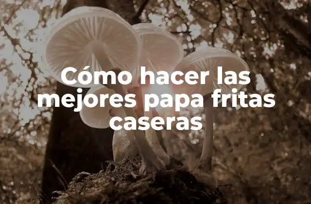 Cómo Hacer las Mejores Papa Fritas Caseras