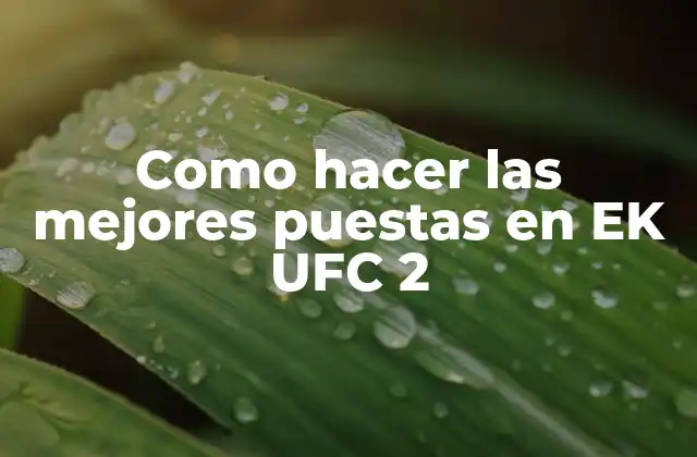 Como Hacer las Mejores Puestas en Ek Ufc 2