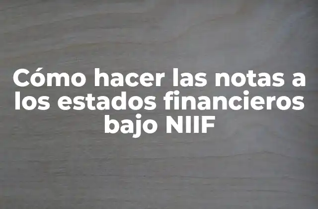 Cómo Hacer las Notas a los Estados Financieros bajo Niif