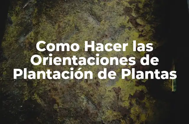 Como Hacer las Orientaciones de Plantación de Plantas