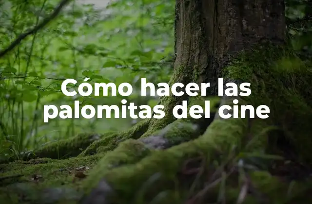 Cómo Hacer las Palomitas Del Cine