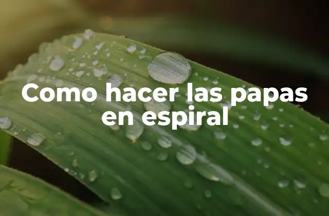 Como Hacer las Papas en Espiral