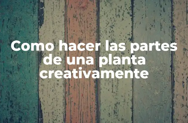 Como Hacer las Partes de una Planta Creativamente 2 ¿Qué son las partes de una planta y para qué sirven?