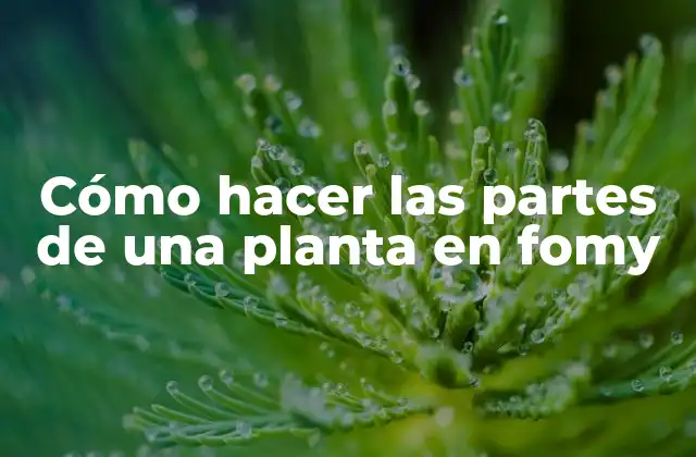 Cómo Hacer las Partes de una Planta en Fomy