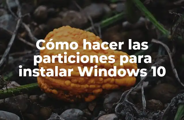 Cómo hacer las particiones para instalar Windows 10