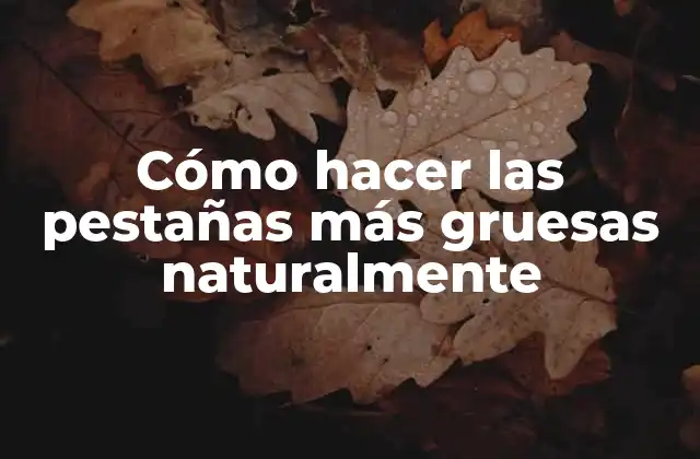 Cómo Hacer las Pestañas Más Gruesas Naturalmente