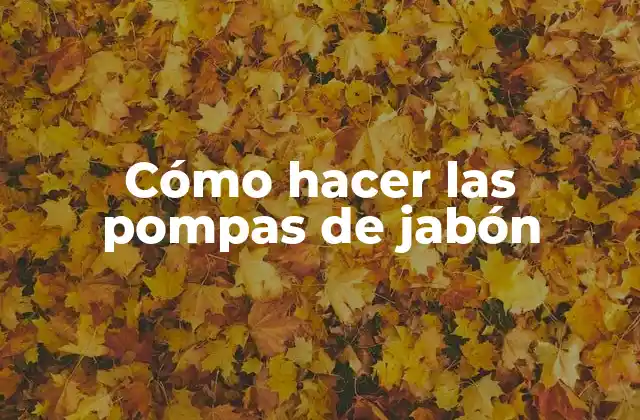 Cómo Hacer las Pompas de Jabón