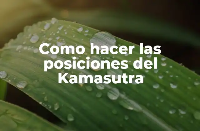 Como Hacer las Posiciones Del Kamasutra
