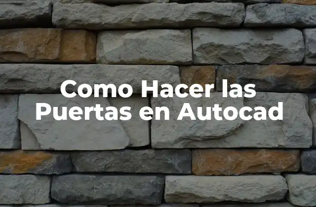 ¿Qué son las Puertas en Autocad?