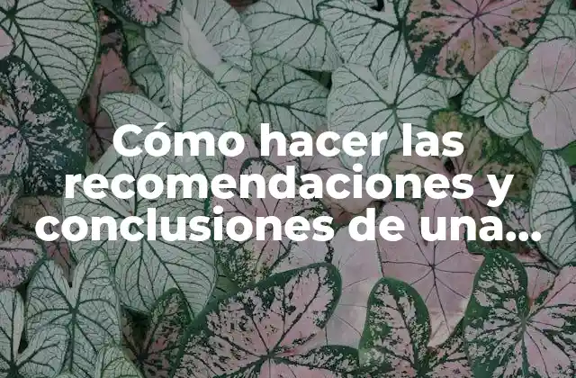Cómo Hacer las Recomendaciones y Conclusiones de una Tesis