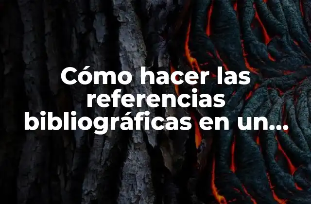 Cómo Hacer las Referencias Bibliográficas en un Texto