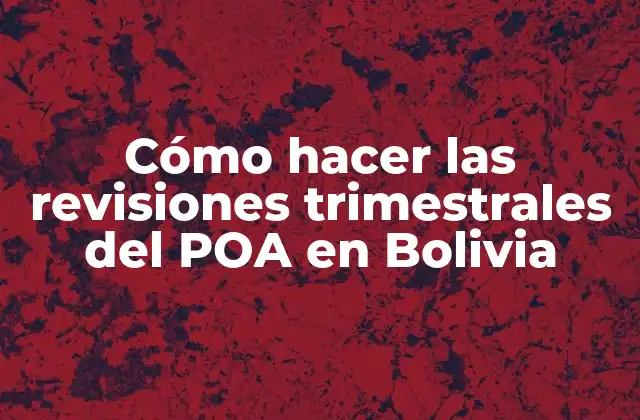Cómo Hacer las Revisiones Trimestrales Del Poa en Bolivia