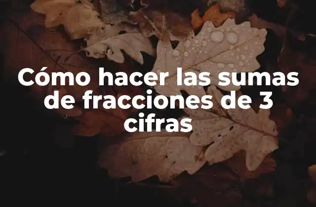 Cómo Hacer las Sumas de Fracciones de 3 Cifras 2 Las sumas de fracciones de 3 cifras