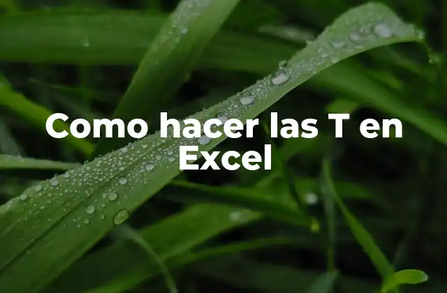 Como Hacer las T en Excel