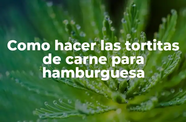 Como Hacer las Tortitas de Carne para Hamburguesa