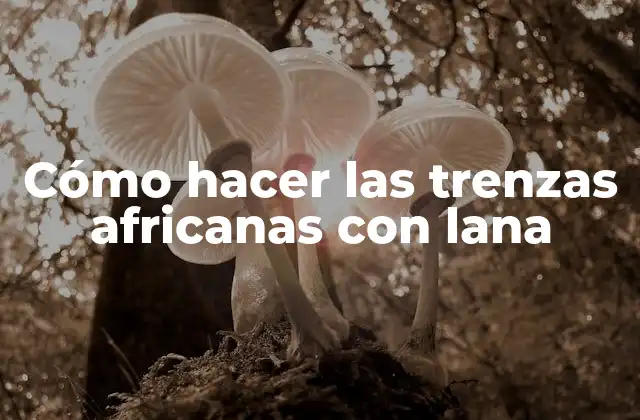 Cómo Hacer las Trenzas Africanas con Lana