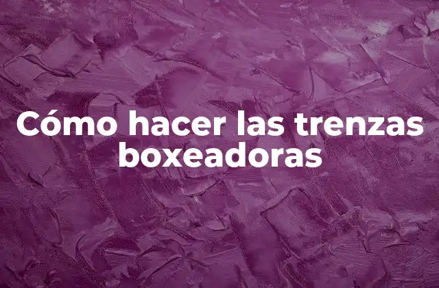 Cómo Hacer las Trenzas Boxeadoras