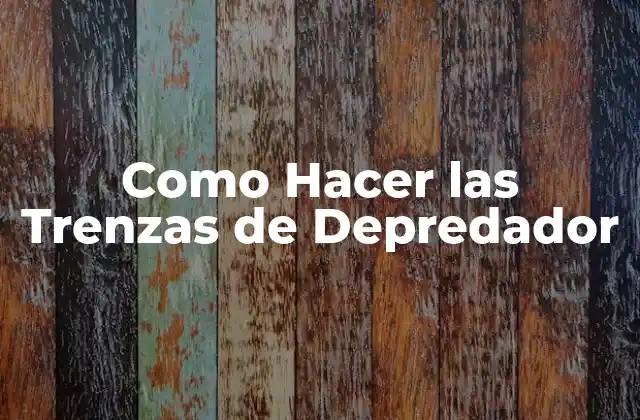 Como Hacer las Trenzas de Depredador