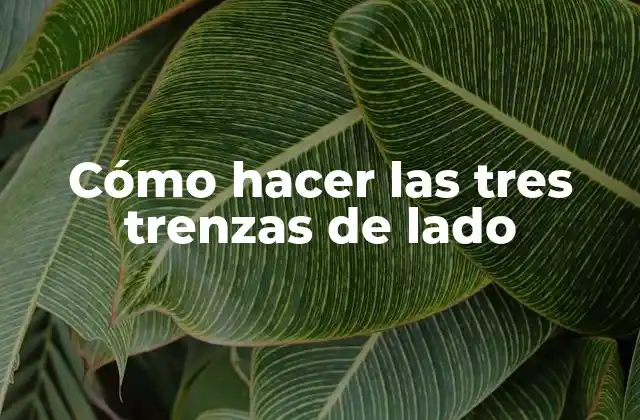 Cómo Hacer las Tres Trenzas de Lado