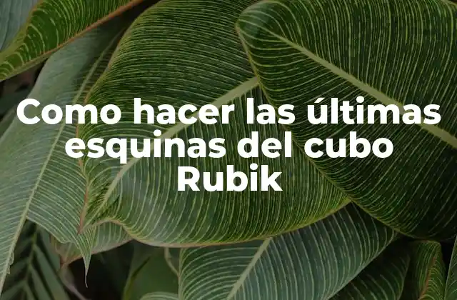 Como Hacer las Últimas Esquinas Del Cubo Rubik