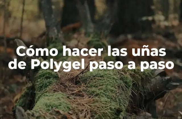 Cómo Hacer las Uñas de Polygel Paso a Paso
