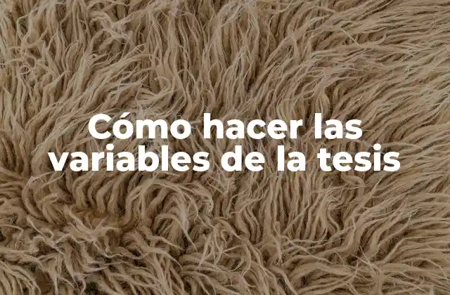 ¿Qué son las variables de la tesis?
