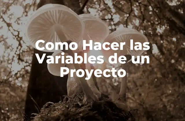 Como Hacer las Variables de un Proyecto