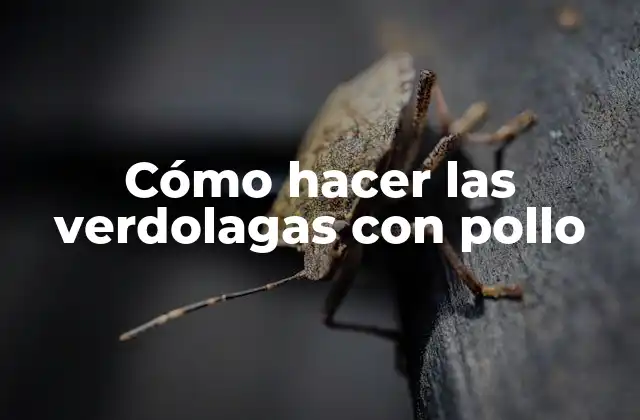 Cómo Hacer las Verdolagas con Pollo 2 Cómo hacer las verdolagas con pollo