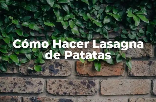 Cómo Hacer Lasagna de Patatas 2 Qué es una Lasagna de Patatas y Cómo se Utiliza